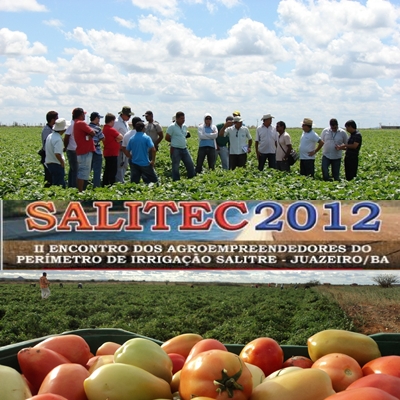 SALITEC 2012 valoriza a agricultura irrigada